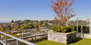 Avalon Towers Bellevue Gallery 41