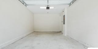 26 Serbian Bellflower Trail Gallery 29