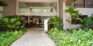 343 Hobron Lane 1605 - 1 Gallery 1