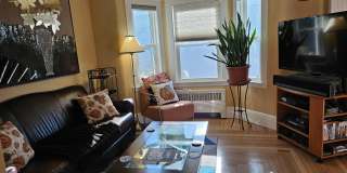 151 Walsh St Gallery 12