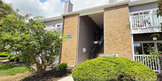 8207 Tamarron Drive Gallery 1