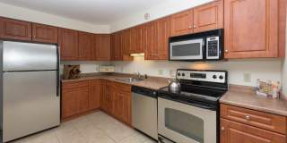 Chestnut Hill East Gallery 1