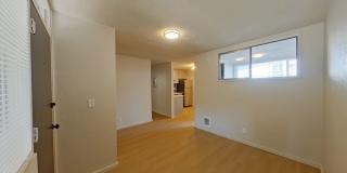 University Manor - Newly Renovated Units just a short walk from Campus! Gallery 1