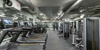 The Carousel Gallery 23