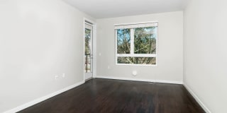 The Lex The Lex Gallery 11