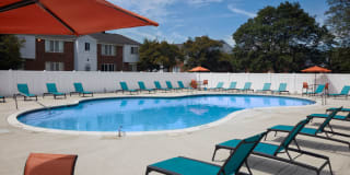 Harlo Apartments Gallery 11