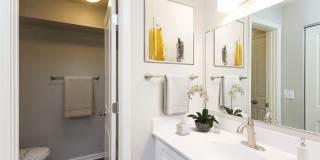 Palmetto Place Palmetto Place Gallery 21