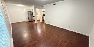 River Oaks Gallery 26