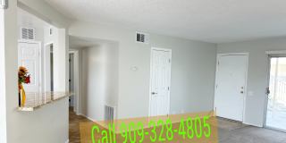 25863 Pacific St Gallery 13