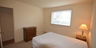 Graduate and Professional Gallery 117