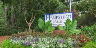 Hampstead Place Gallery 5