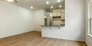 Brand-New 2 Bed / 2 Bath Duplex with Garage & Fenced Yard Gallery 8