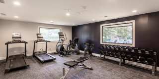 Mandalane Gallery 10