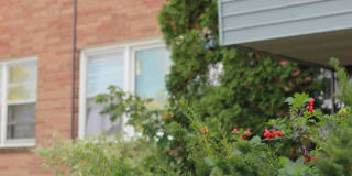 1267 Cook Ave E #203 Gallery 18