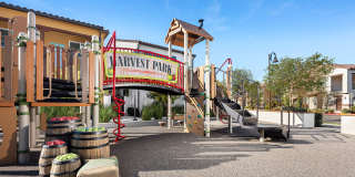 Harvest in Tracy Gallery 48