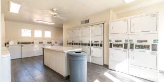 Papago Crossing Gallery 4