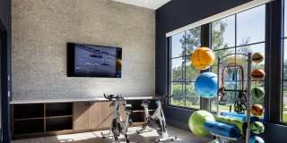 Locklyn West Palm Gallery 12