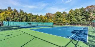 108 Neptune Place Gallery 47