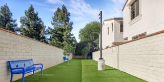 Independence in Dixon Gallery 26