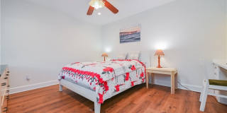 15 Camphor S Gallery 22