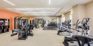 The Victor by Windsor Gallery 24