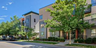 Cortland Belmar Gallery 57