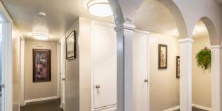 7258 Blanco Rd Gallery 1