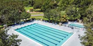 3829 SPRUCE PINE DRIVE Gallery 76