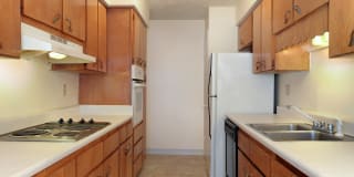 Lindru Gardens Gallery 14