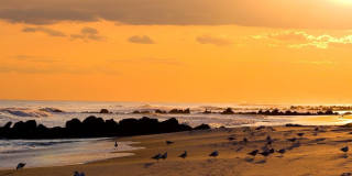 120 Mitchell Ave Gallery 27