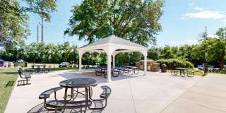 Takoma Towers Gallery 15