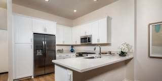 Calista Luxury Townhomes Gallery 9