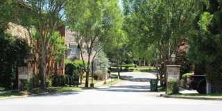 704 Longleaf Drive NE Gallery 39