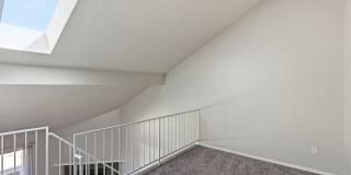 Avens Point Gallery 8