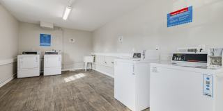 Cardinal Village Gallery 34