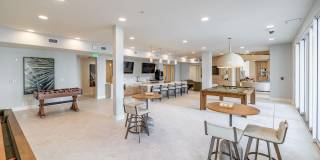 Illumina at Gulf Coast Town Center Gallery 14