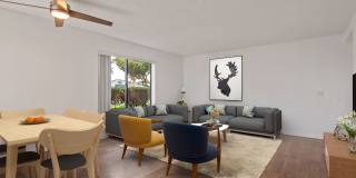 Bay Laurel Gallery 16