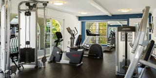 The Madrid Gallery 14