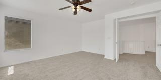 Gorgeous 3 bed plus a loft Gallery 16