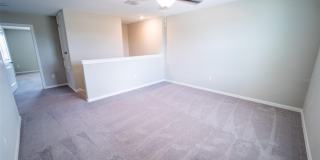 9831 LEMON DROP Loop Gallery 36