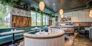 Maison Green Gallery 41