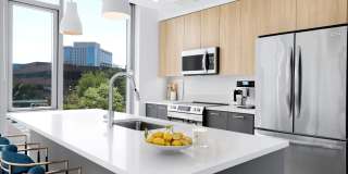 Skymark Reston Town Center Gallery 20