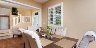 Coconut Plantation Gallery 10
