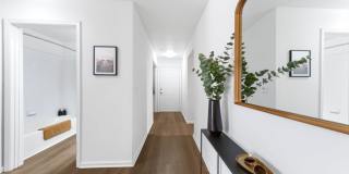 TGM Bull Run Gallery 10