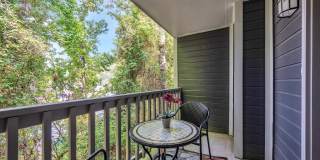 Turtle Lake Gallery 14