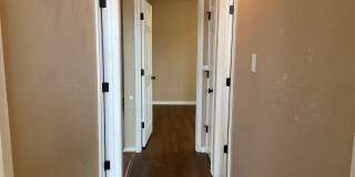 COMING SOON! Gallery 11