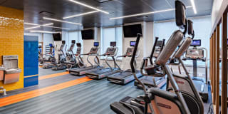 AVA Fort Greene Gallery 23