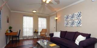 1146 Camino La Costa Gallery 1