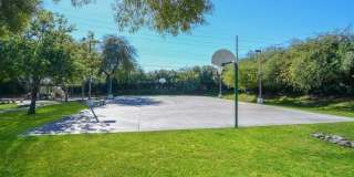 Carlyle Townhomes Gallery 7