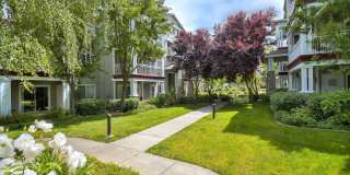 Oak View of Sonoma Hills Apartments Gallery 33